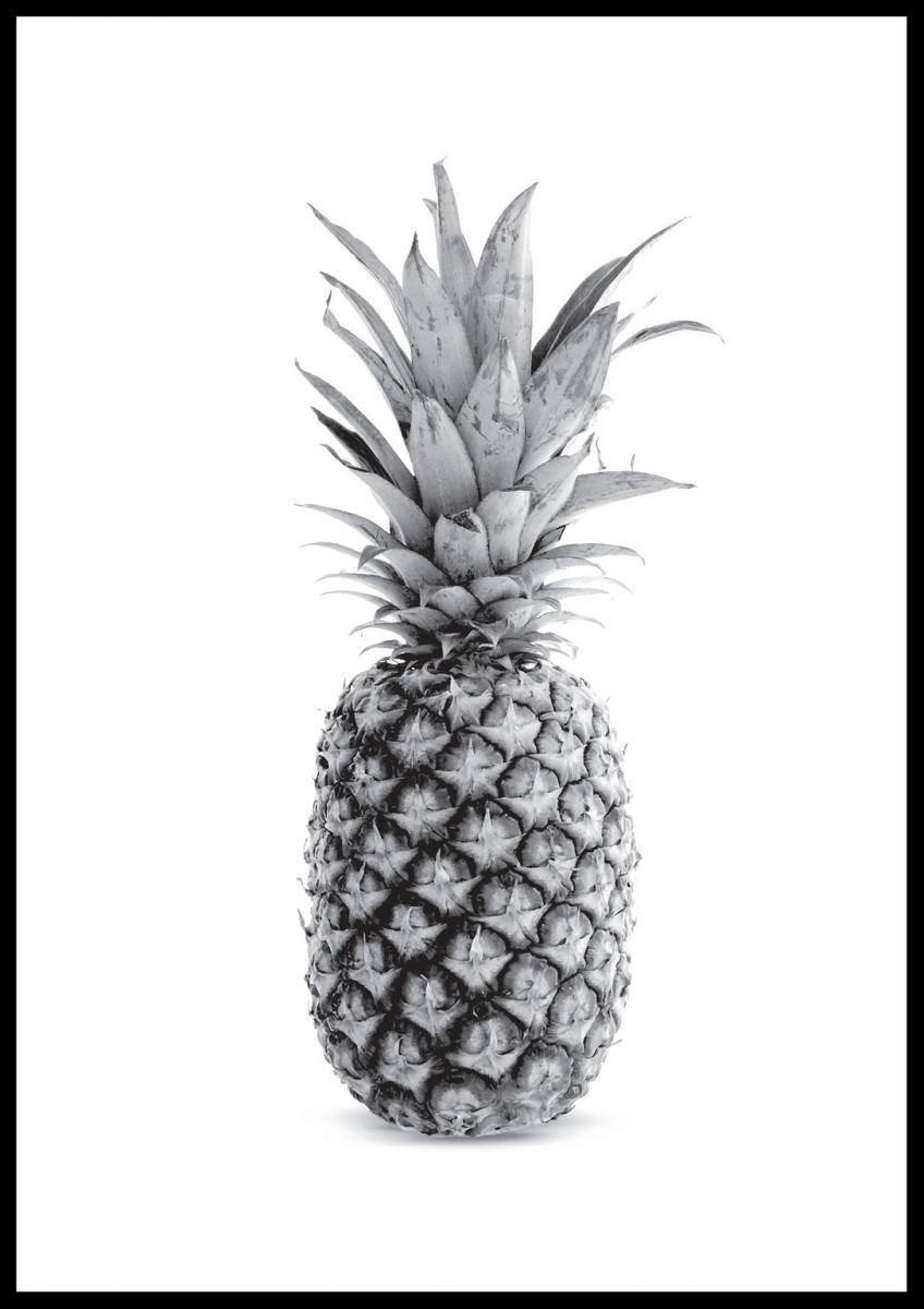 Bildverkstad Pineapple Grey Poster