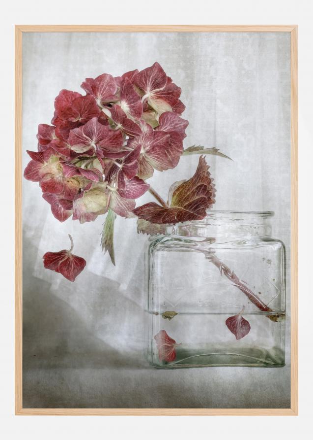 Bildverkstad Hydrangea Poster