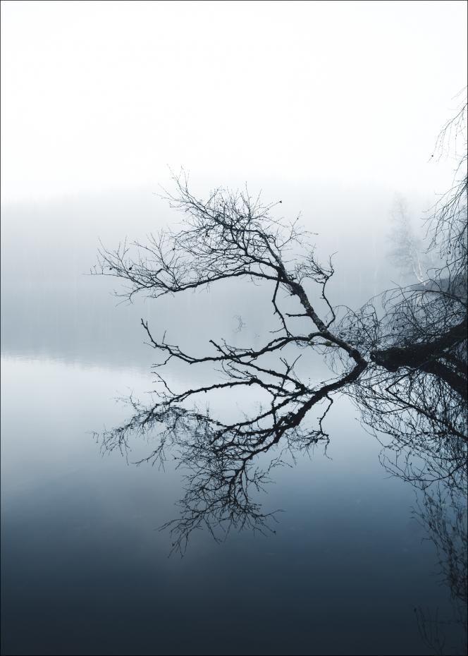 Bildverkstad Water Reflection Poster