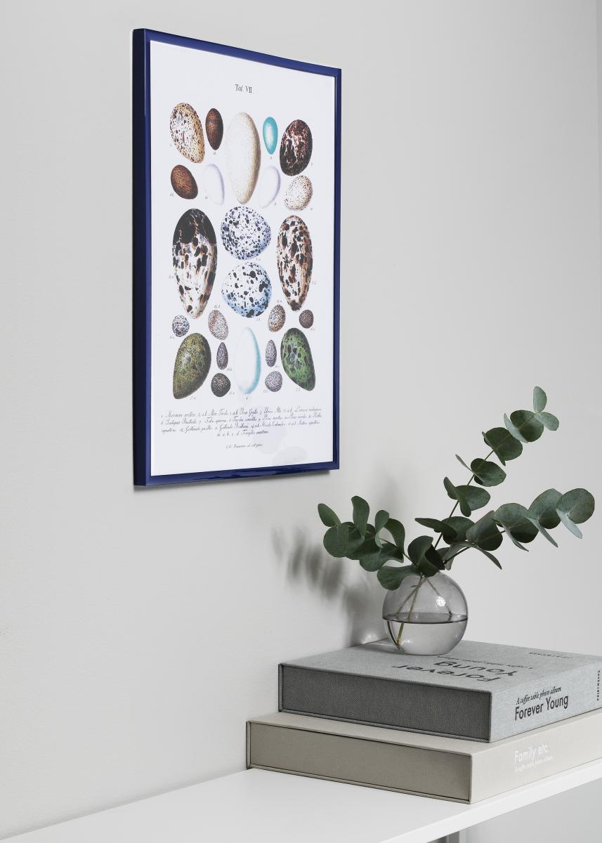 Walther Fotolijst New Lifestyle Blauw 40x50 cm