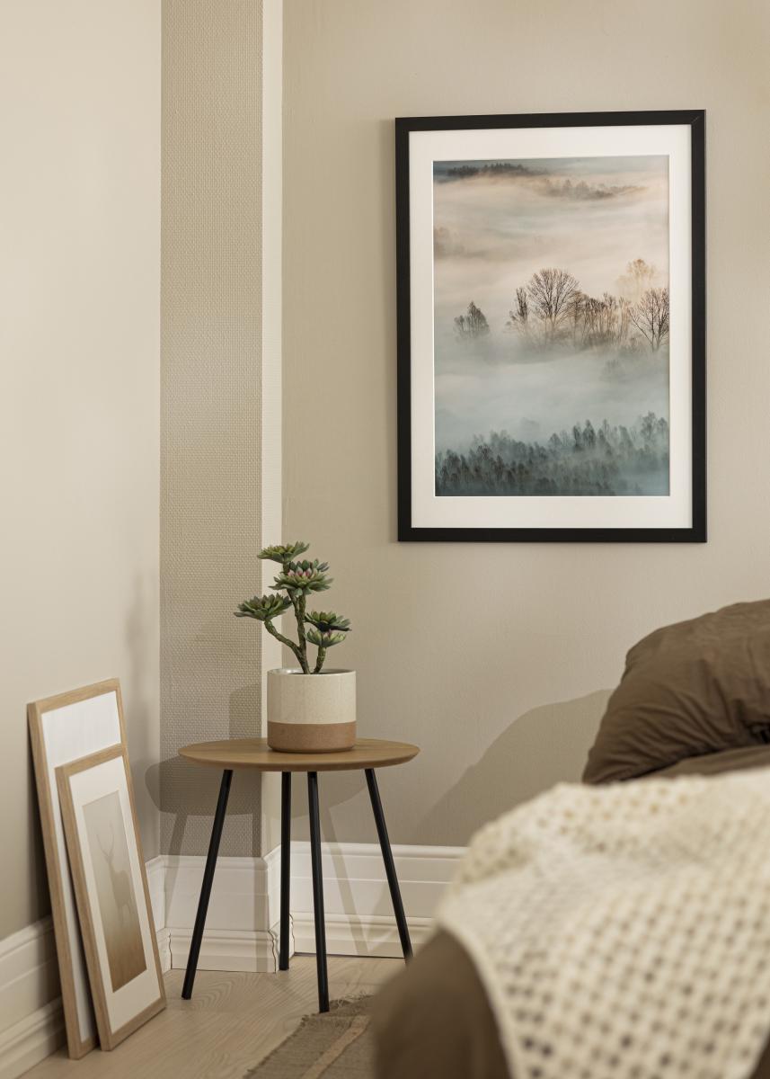 Artlink Fotolijst Trendline Acrylglas Zwart 22x28 inches (55,88x71,12 cm)