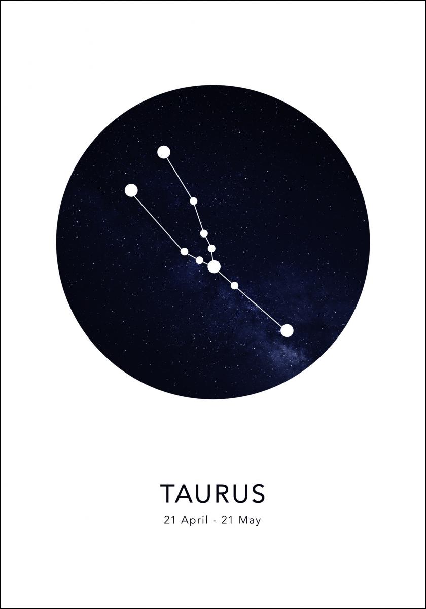 Bildverkstad Taurus Poster