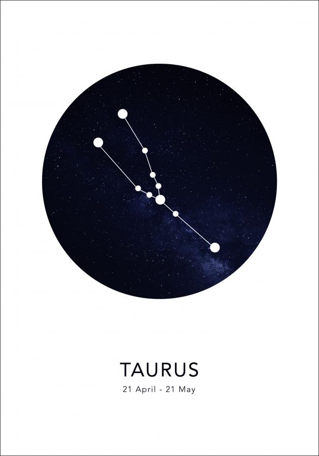Bildverkstad Taurus