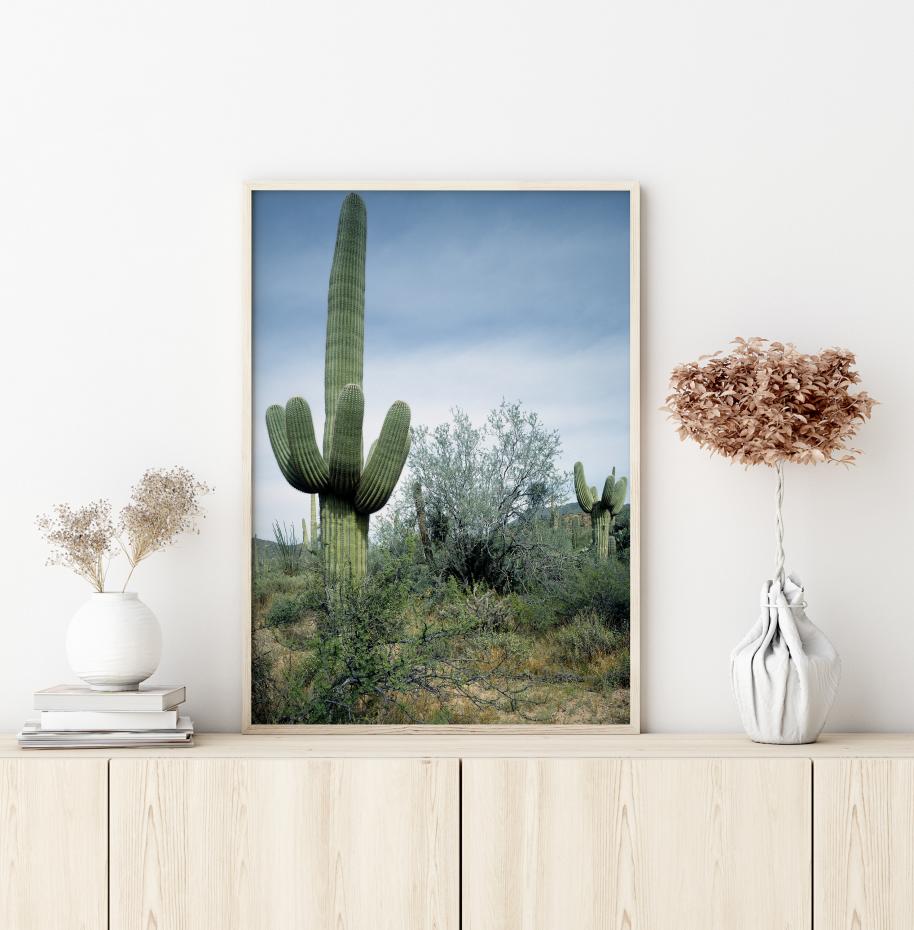 Bildverkstad Cactus Land Poster