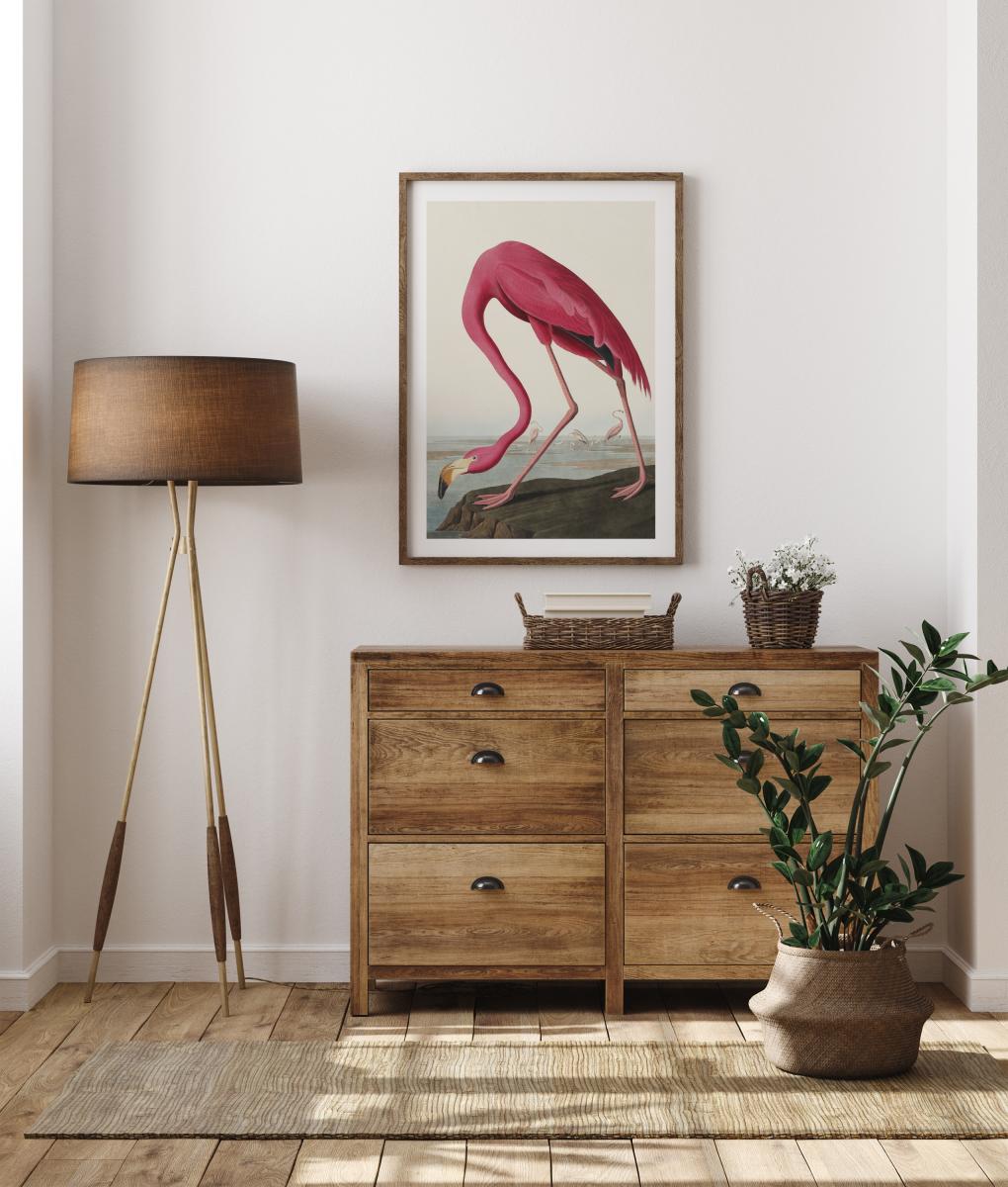 Bildverkstad American Flamingo Poster