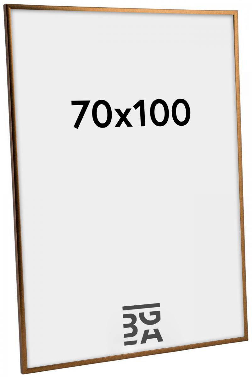 Walther Fotolijst New Lifestyle Brons 70x100 cm