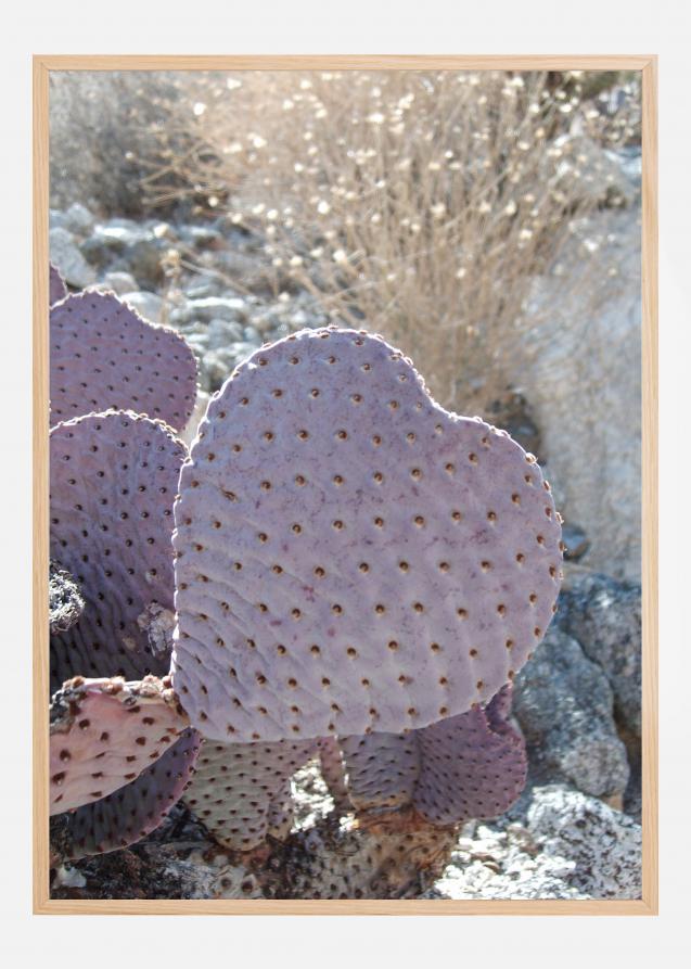 Bildverkstad Cactus Poster