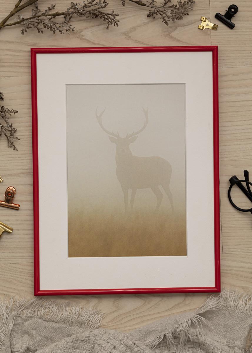 Walther Fotolijst Galeria Rood 50x70 cm
