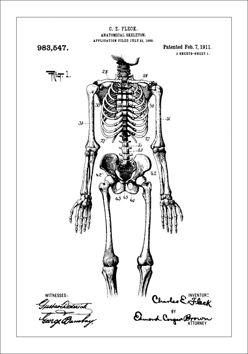Bildverkstad Patenttekening - Anatomisch skelet I Poster