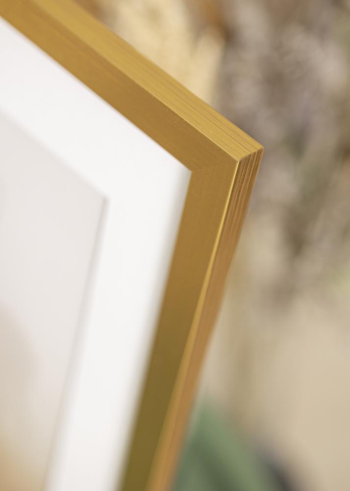 Galleri 1 Fotolijst Gold Wood Acrylglas 60x100 cm
