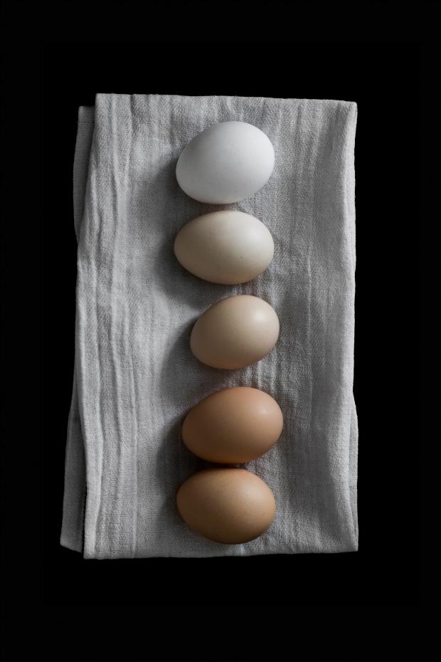 Bildverkstad Farm eggs Poster