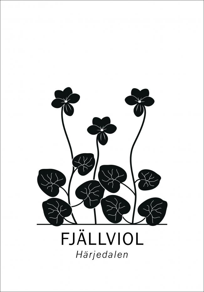 Bildverkstad Tweebloemig viooltje - Hrjedalen Poster