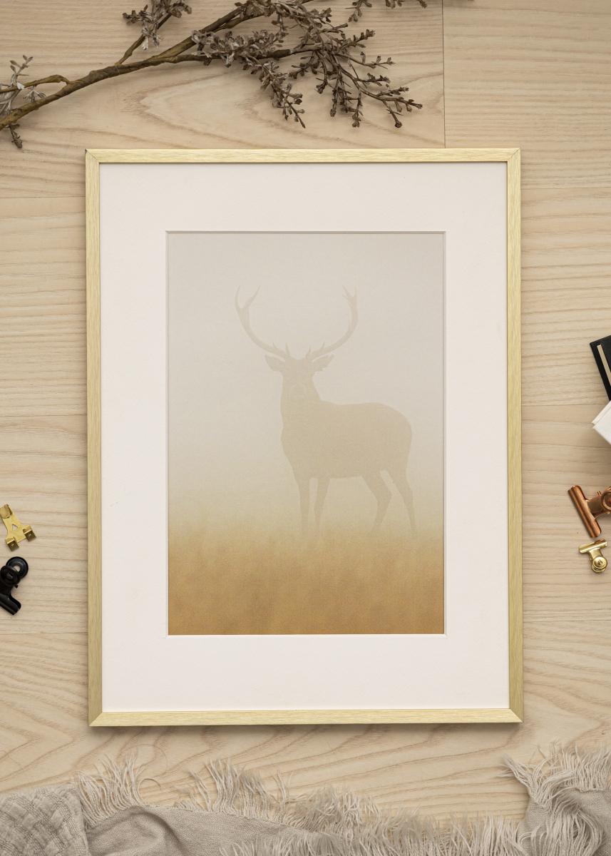 Walther Fotolijst Chair Goud 60x80 cm