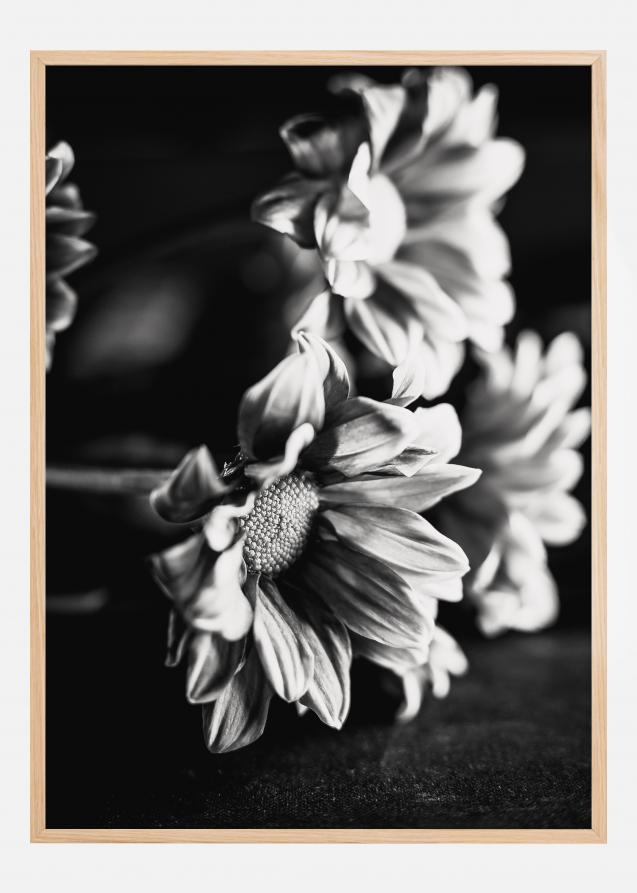 Bildverkstad Black and White Flowers Poster