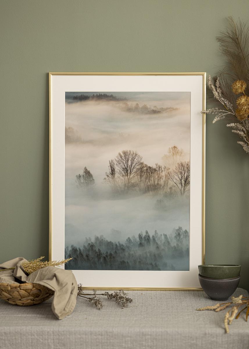 Walther Fotolijst New Lifestyle Acrylglas Goud 29,7x42 cm (A3)