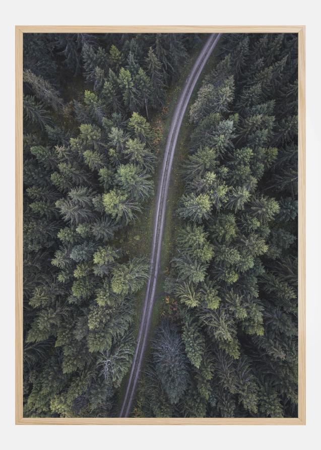 Bildverkstad Small road through the forest Poster