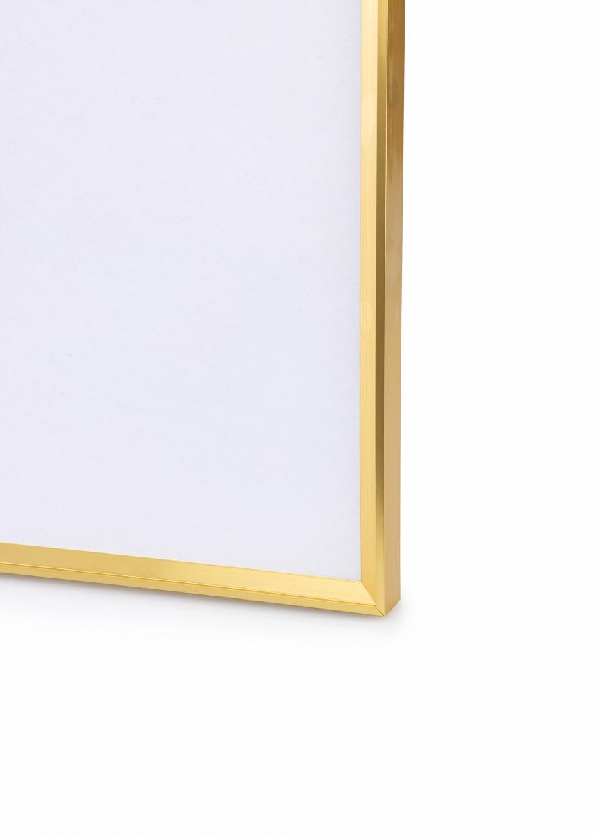 Walther Fotolijst Desire Goud 30x40 cm