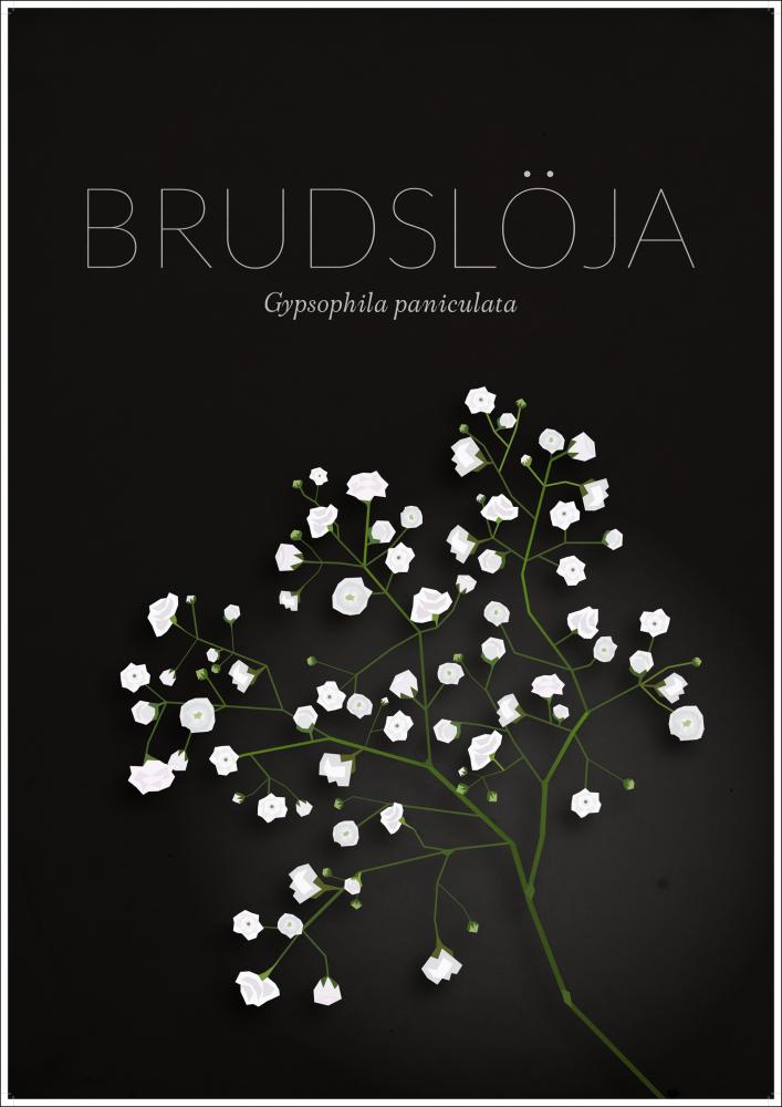 Bildverkstad Bruidssluier Poster