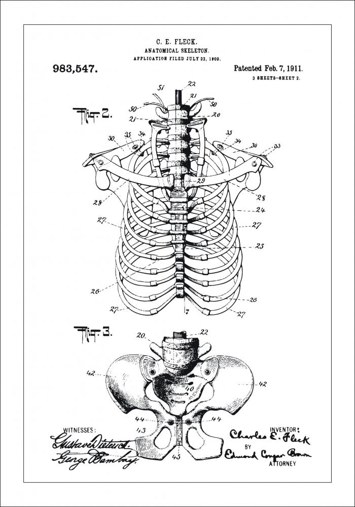 Bildverkstad Patenttekening - Anatomisch skelet II Poster