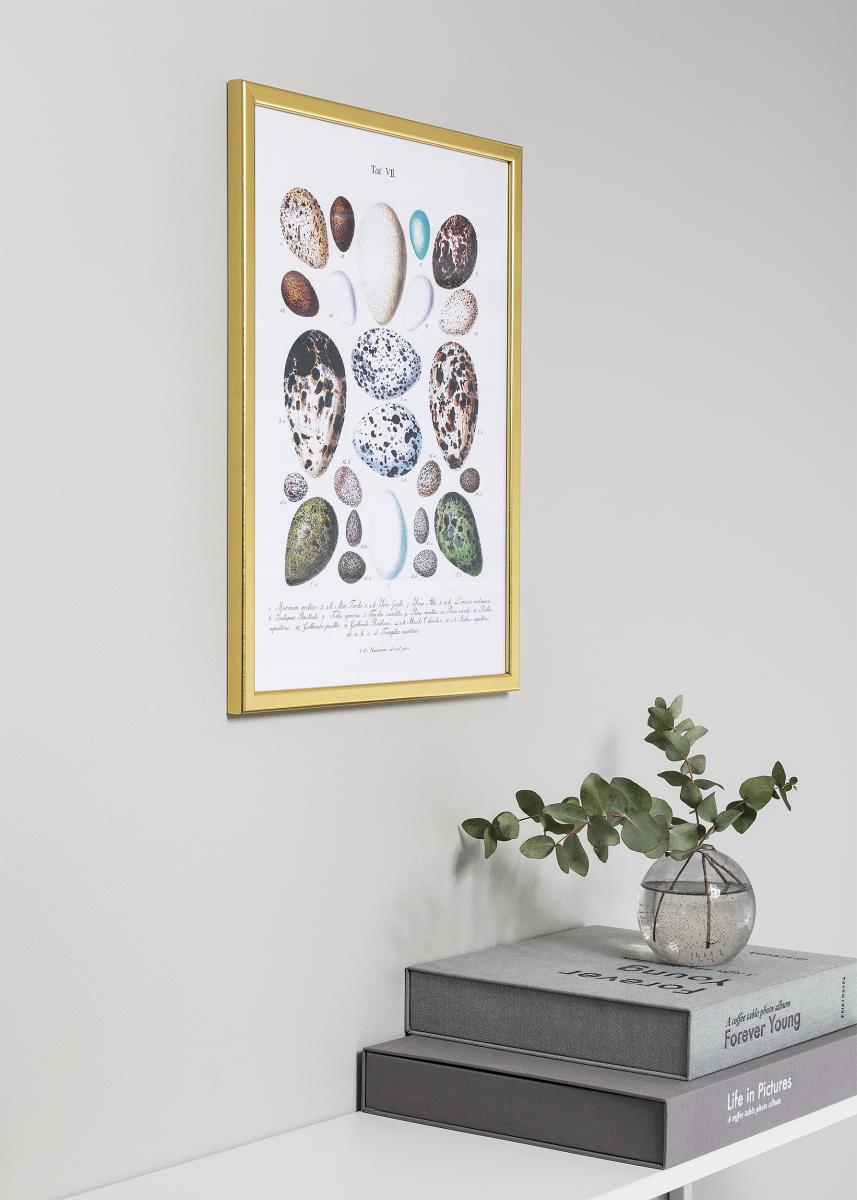 HHC Distribution Fotolijst Slim Mat Ontspiegeld Glas Goud 21X29,7 cm (A4)