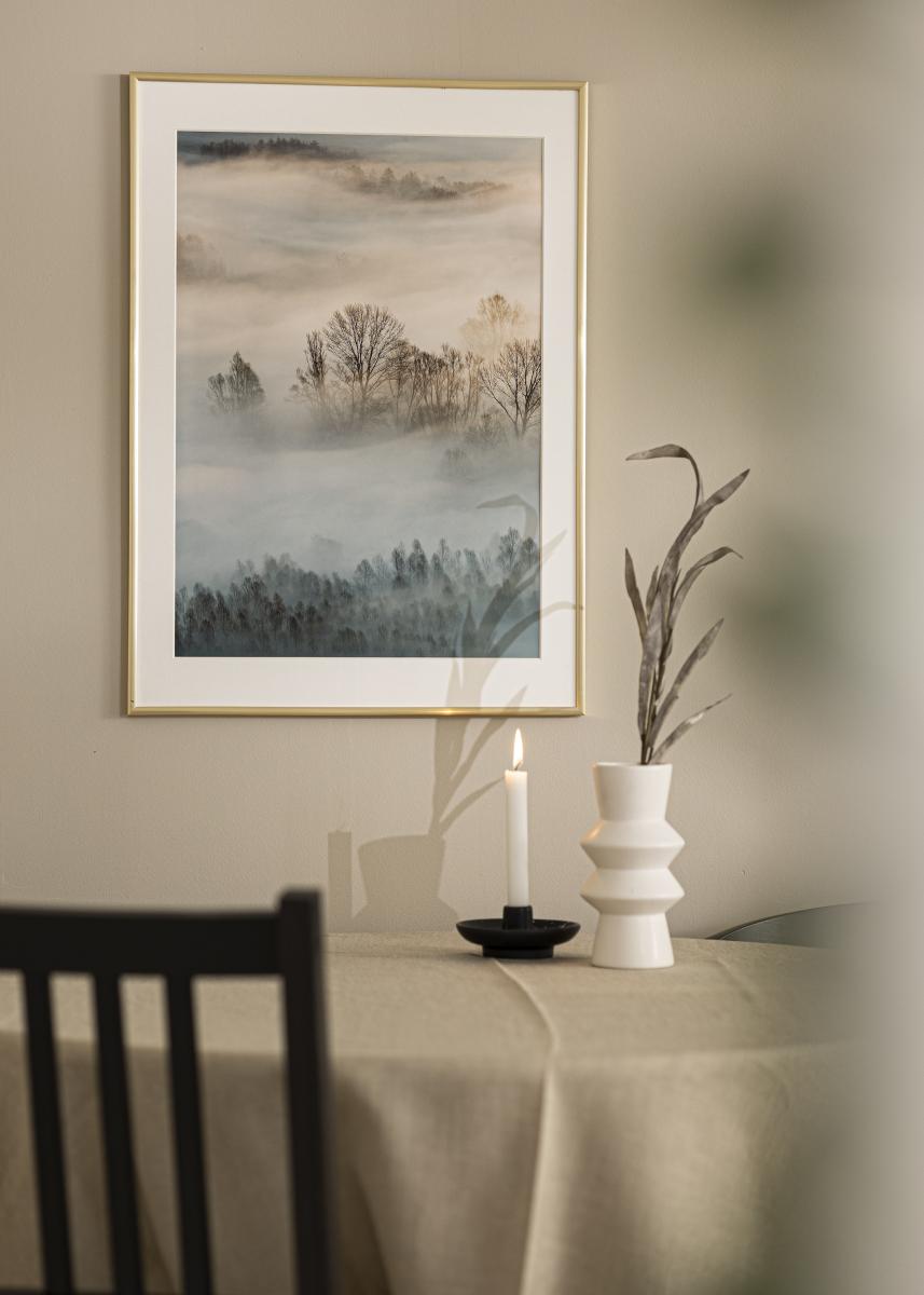 Walther Fotolijst New Lifestyle Acrylglas Goud 29,7x42 cm (A3)
