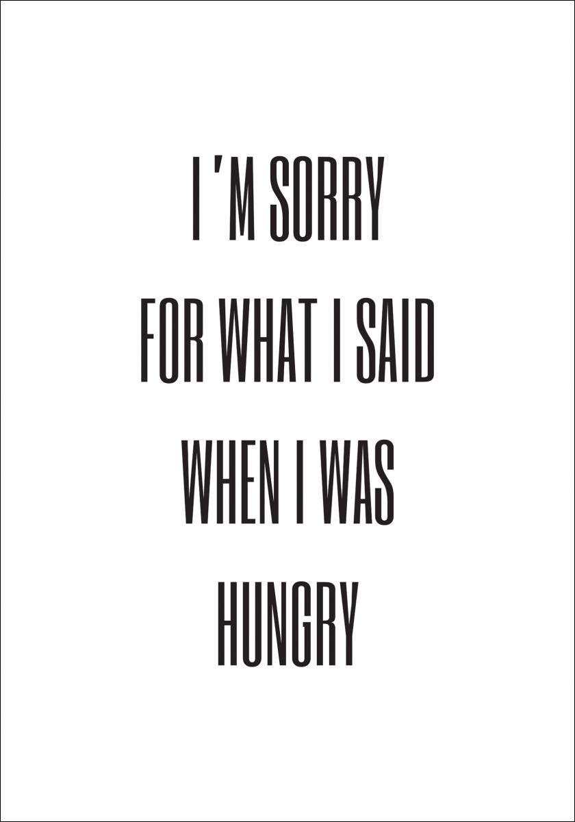 Bildverkstad I'm sorry for what i said when was hungry Poster