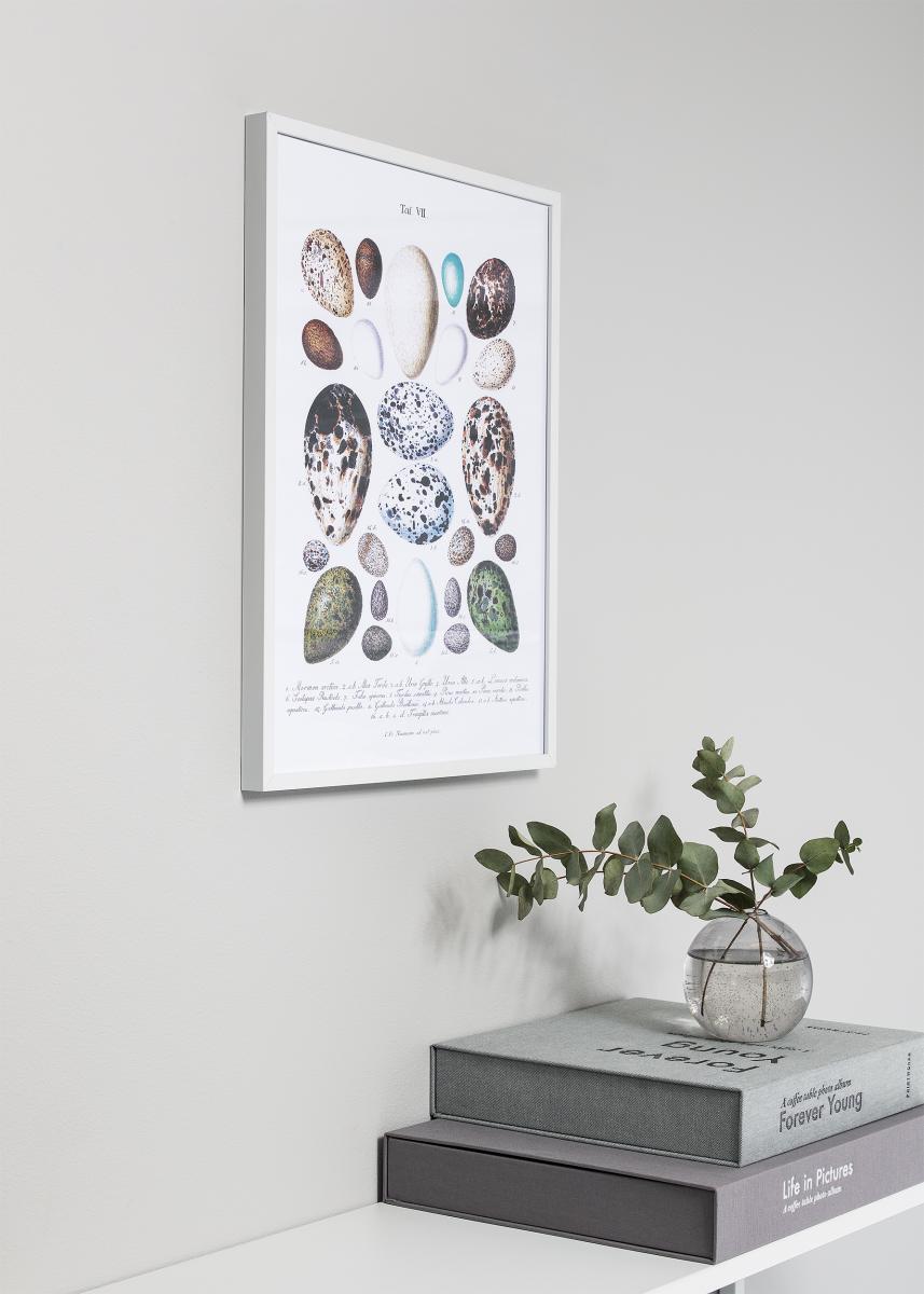 Walther Fotolijst Chair Wit 29,7x42 cm (A3)