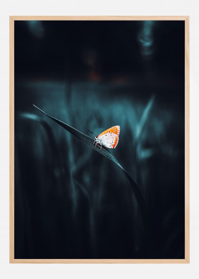 Bildverkstad A Lonely Butterfly Poster