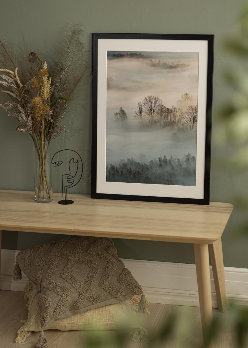 Artlink Fotolijst Trendline Acrylglas Zwart 22x28 inches (55,88x71,12 cm)