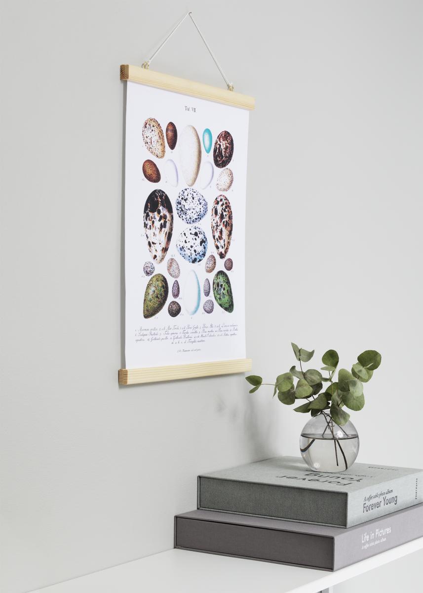 Artlink Posterhanger Nature - 30 cm