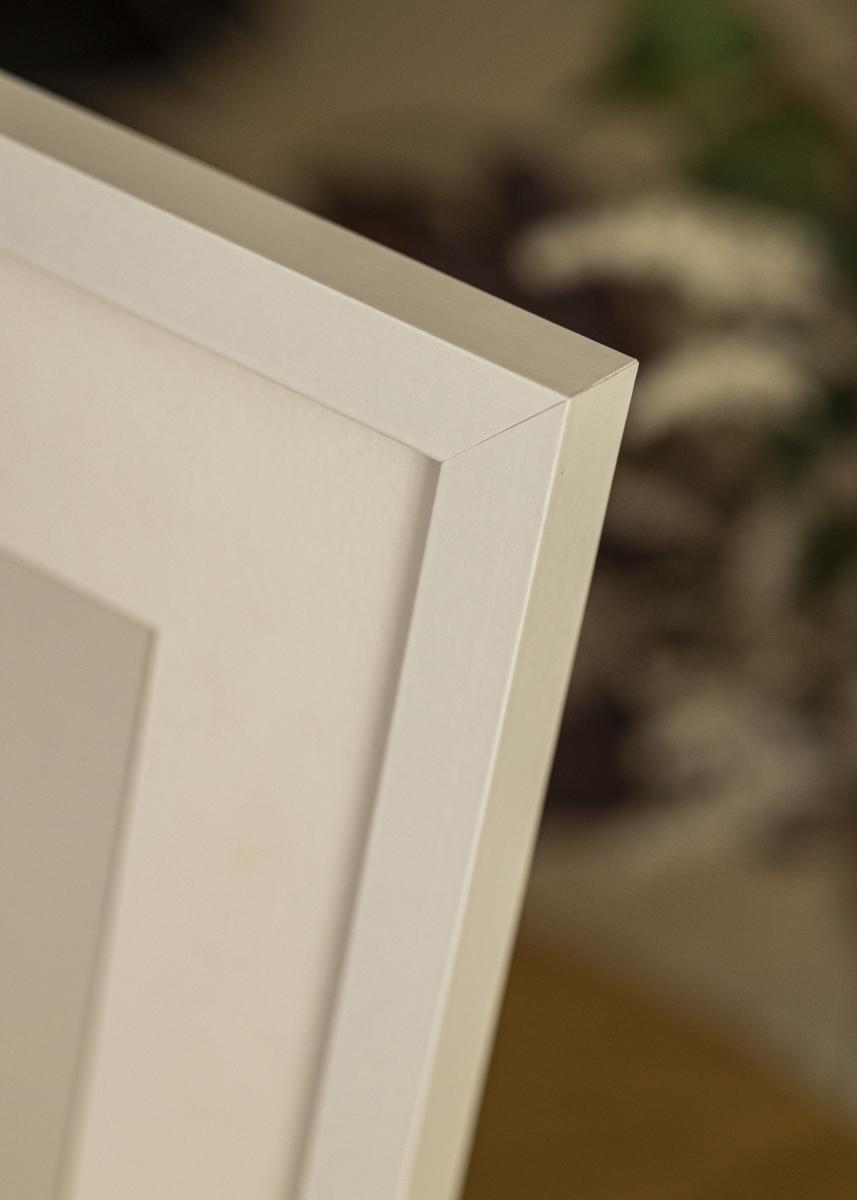 Artlink Fotolijst Selection Acrylglas Wit 15x20 cm