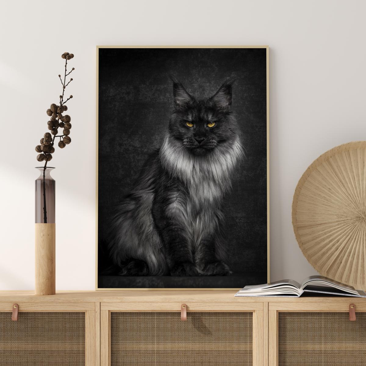 Bildverkstad Maincoon Poster