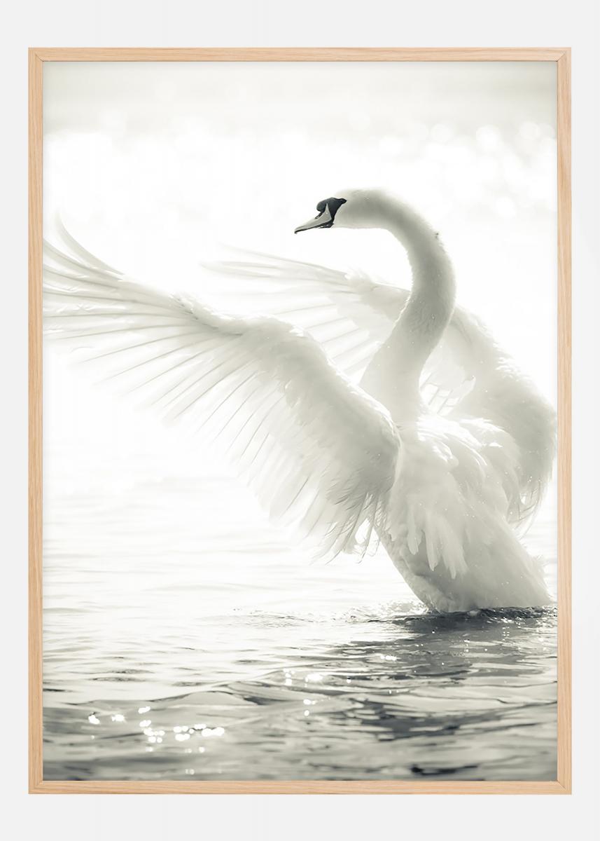 Lagervaror egen produktion Swan Poster