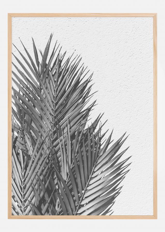 Bildverkstad Palm Leaves Poster