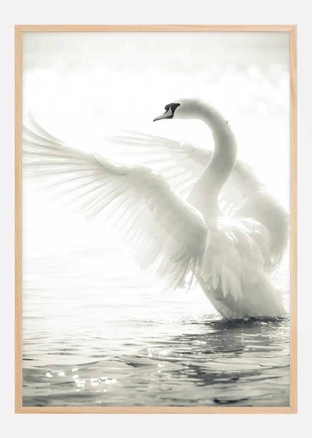 Bildverkstad Swan Poster