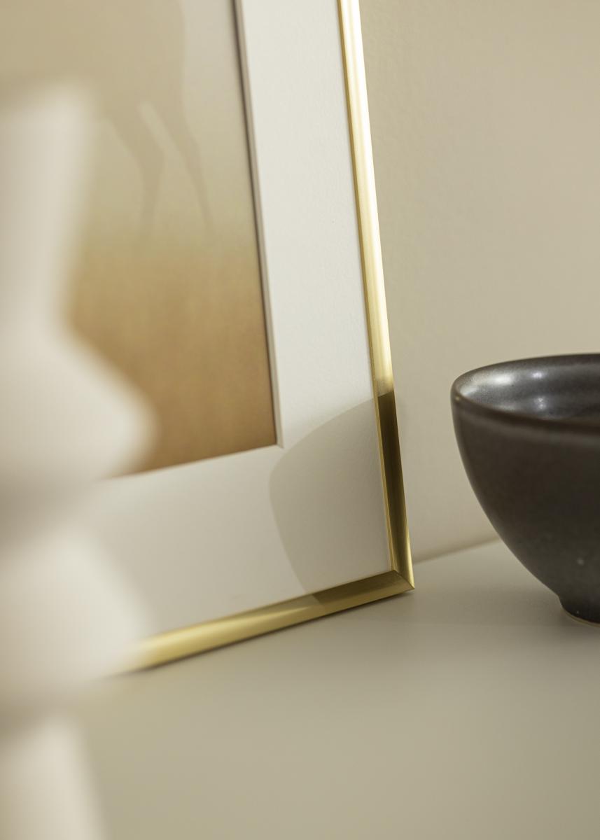 Walther Fotolijst New Lifestyle Acrylglas Goud 29,7x42 cm (A3)