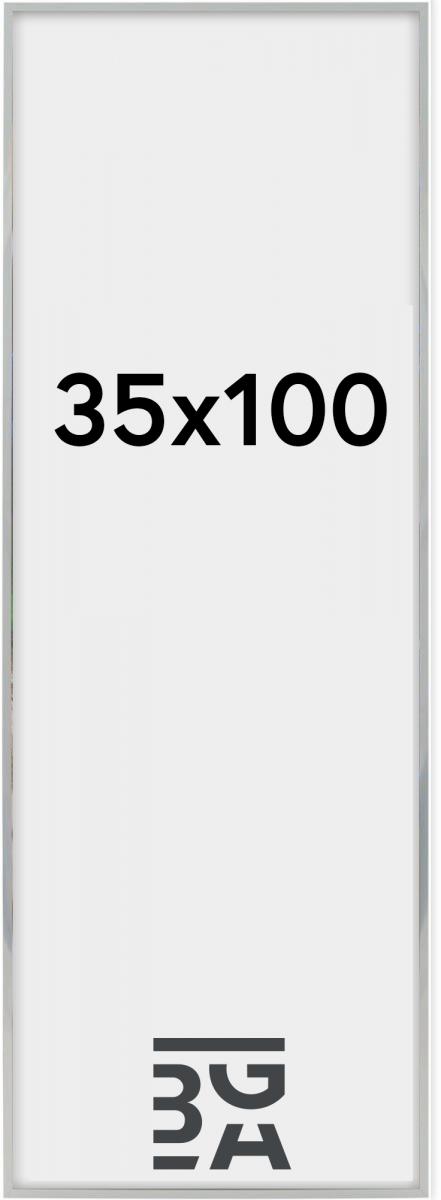 Nielsen Fotolijst Nielsen Premium Alpha Blank Zilver 35x100 cm