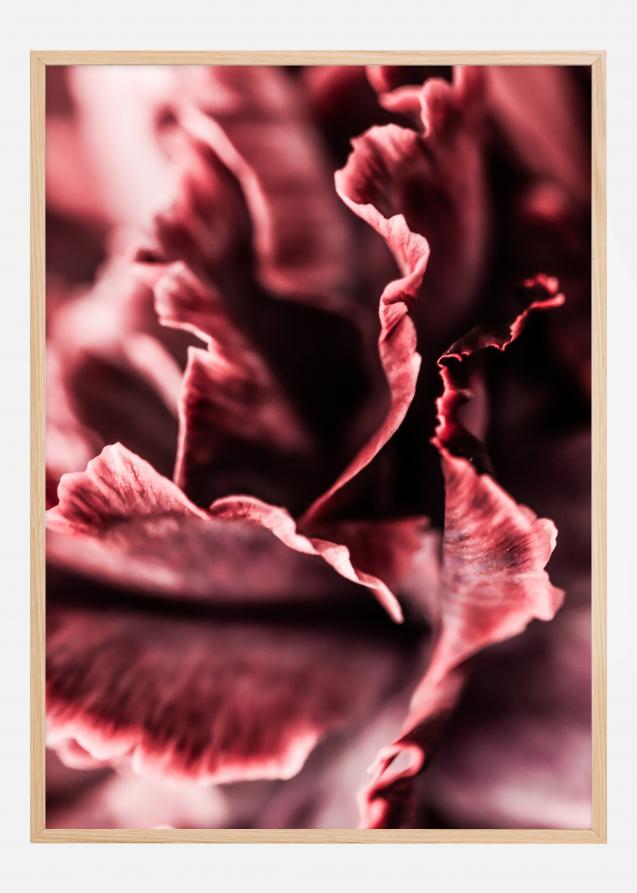 Bildverkstad Rose petals Poster