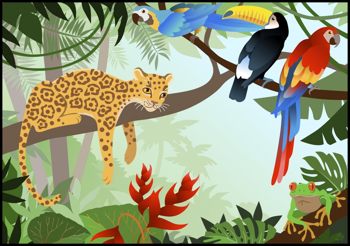 Bildverkstad Jungle Animals Poster