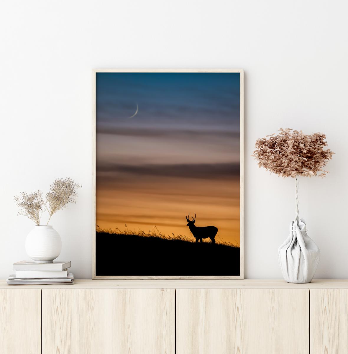 Bildverkstad Deer In Sunset Poster