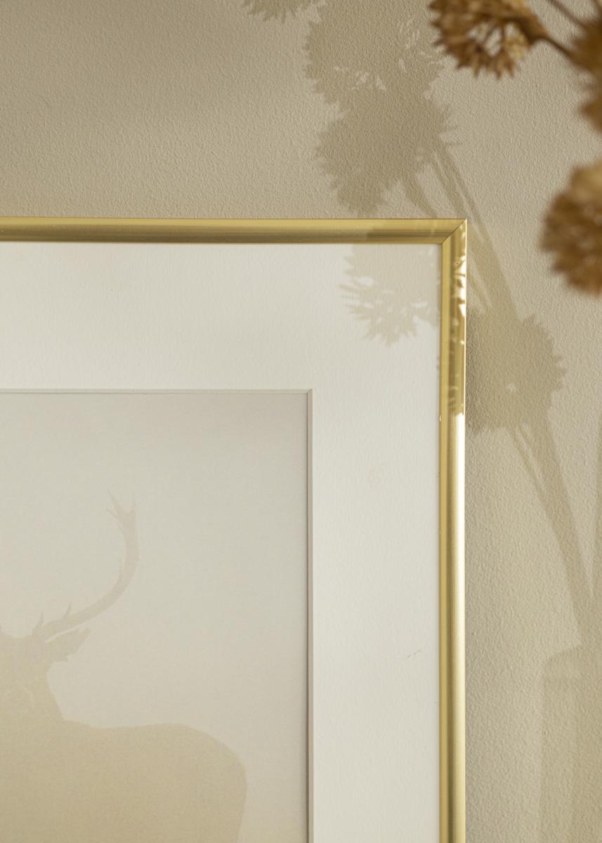 Walther Fotolijst New Lifestyle Acrylglas Goud 29,7x42 cm (A3)