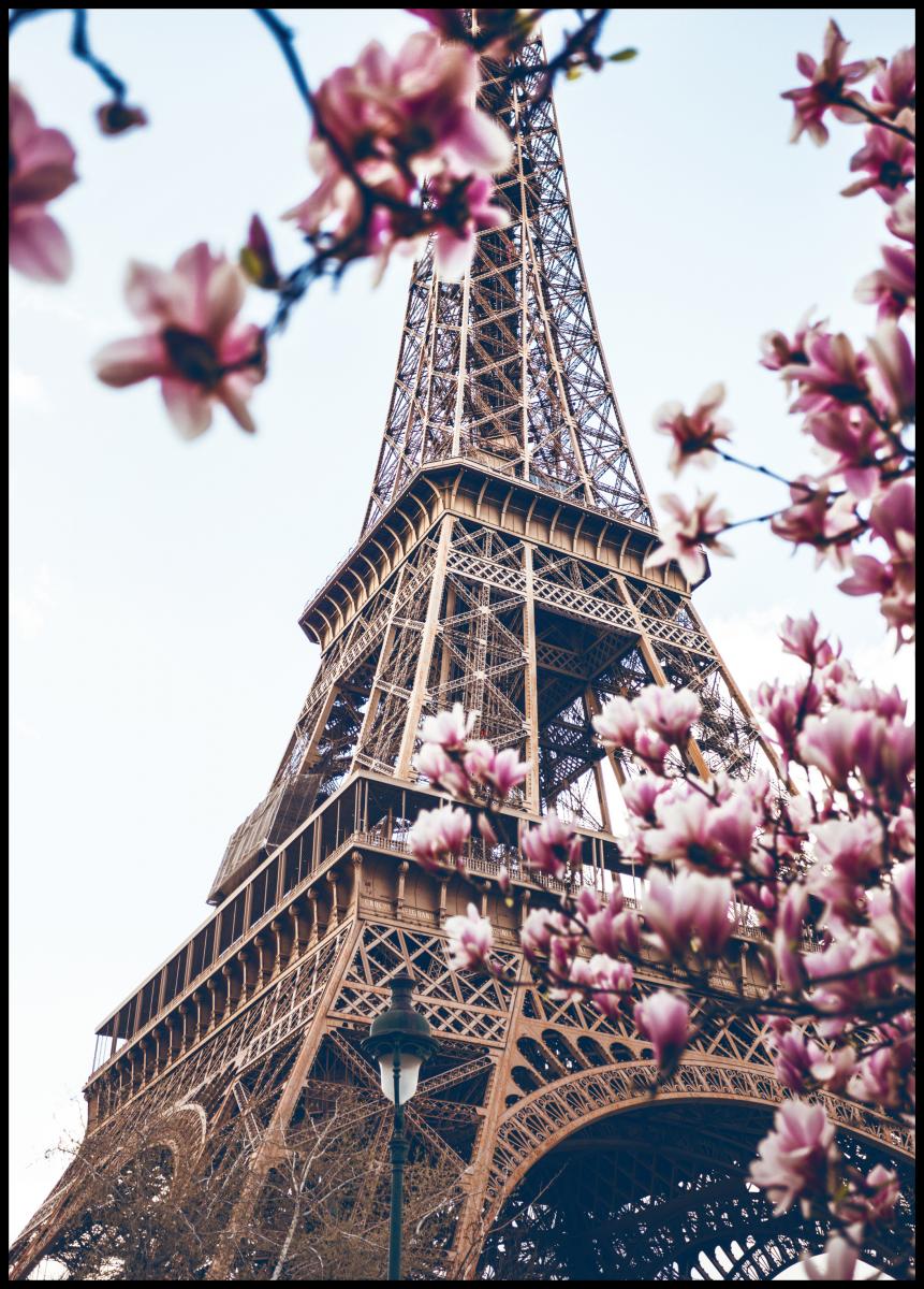 Lagervaror egen produktion Eiffel Tower Blossoms Poster