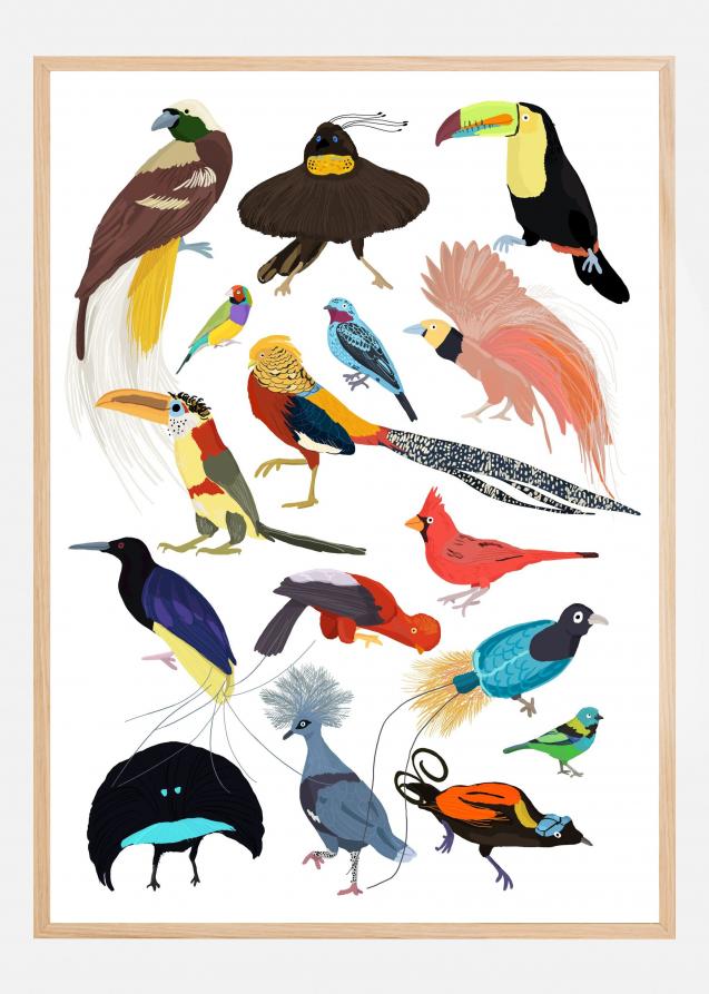 Bildverkstad Birds of Paradise Poster