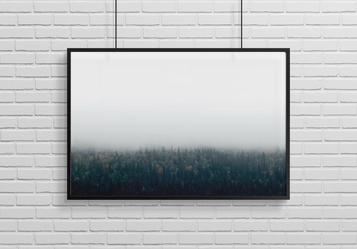 Bildverkstad Forests in fog Poster
