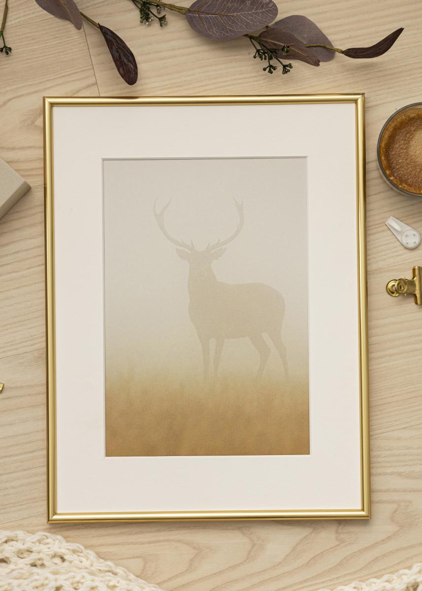 Walther Fotolijst Galeria Goud 60x80 cm