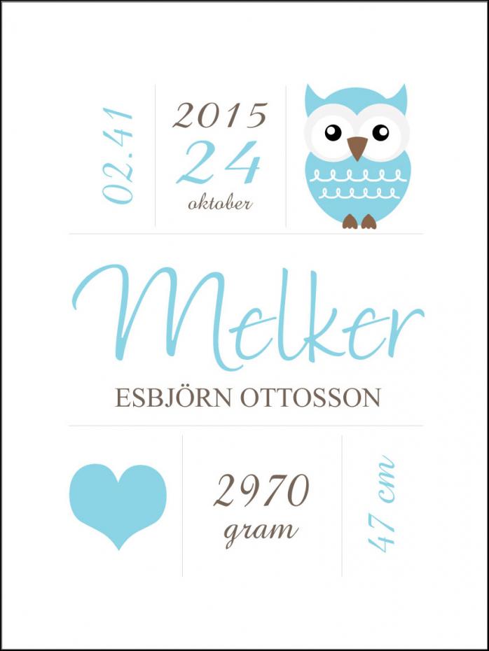 Personlig poster Owl Birth Poster Blue