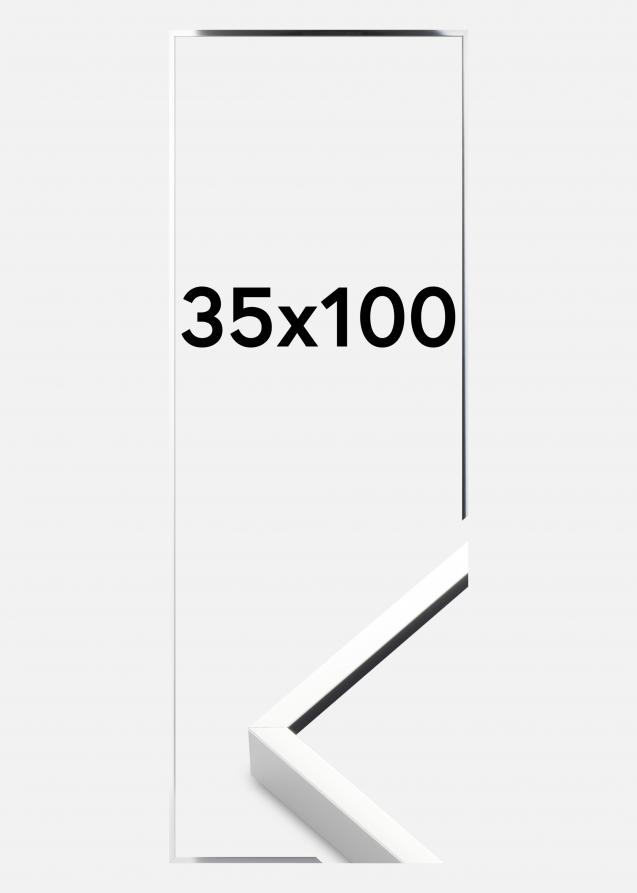 Nielsen Fotolijst Nielsen Premium Alpha Blank Zilver 35x100 cm