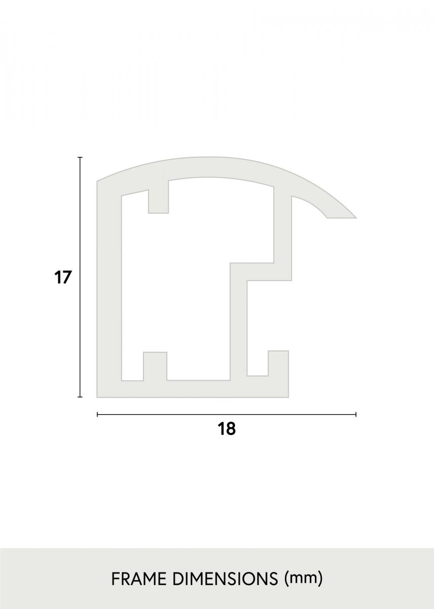 Walther Fotolijst Trendstyle Goud 60x80 cm