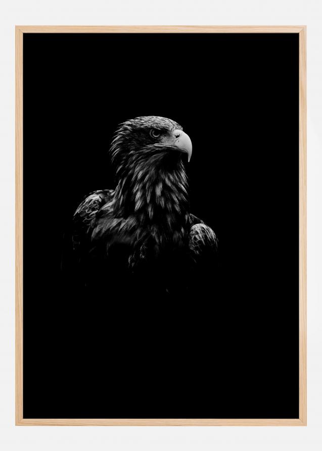 Bildverkstad Black Eagle Poster