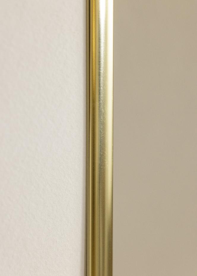 Estancia Fotolijst Visby Acrylglas Glanzend Goud 29,7x42 cm (A3)